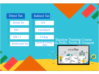 GST Certification Course in Delhi, 110085, SLA Accounting Institute, Taxation and Tally Prime Institute in Delhi, Noida,